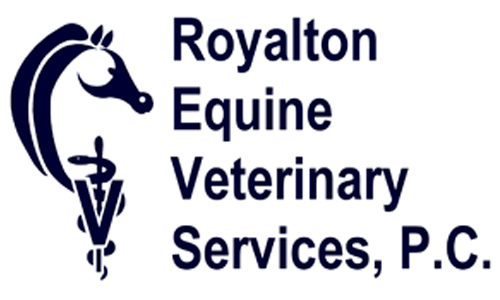 Royalton Equine Veterinary Services